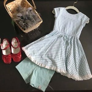 Dorothy costume